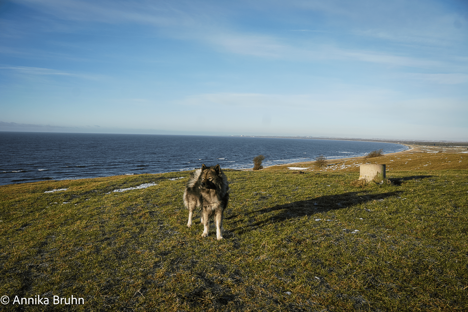 Q das erste Bild in Schweden